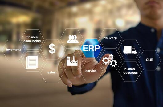 ERPSysteem Management Short Course