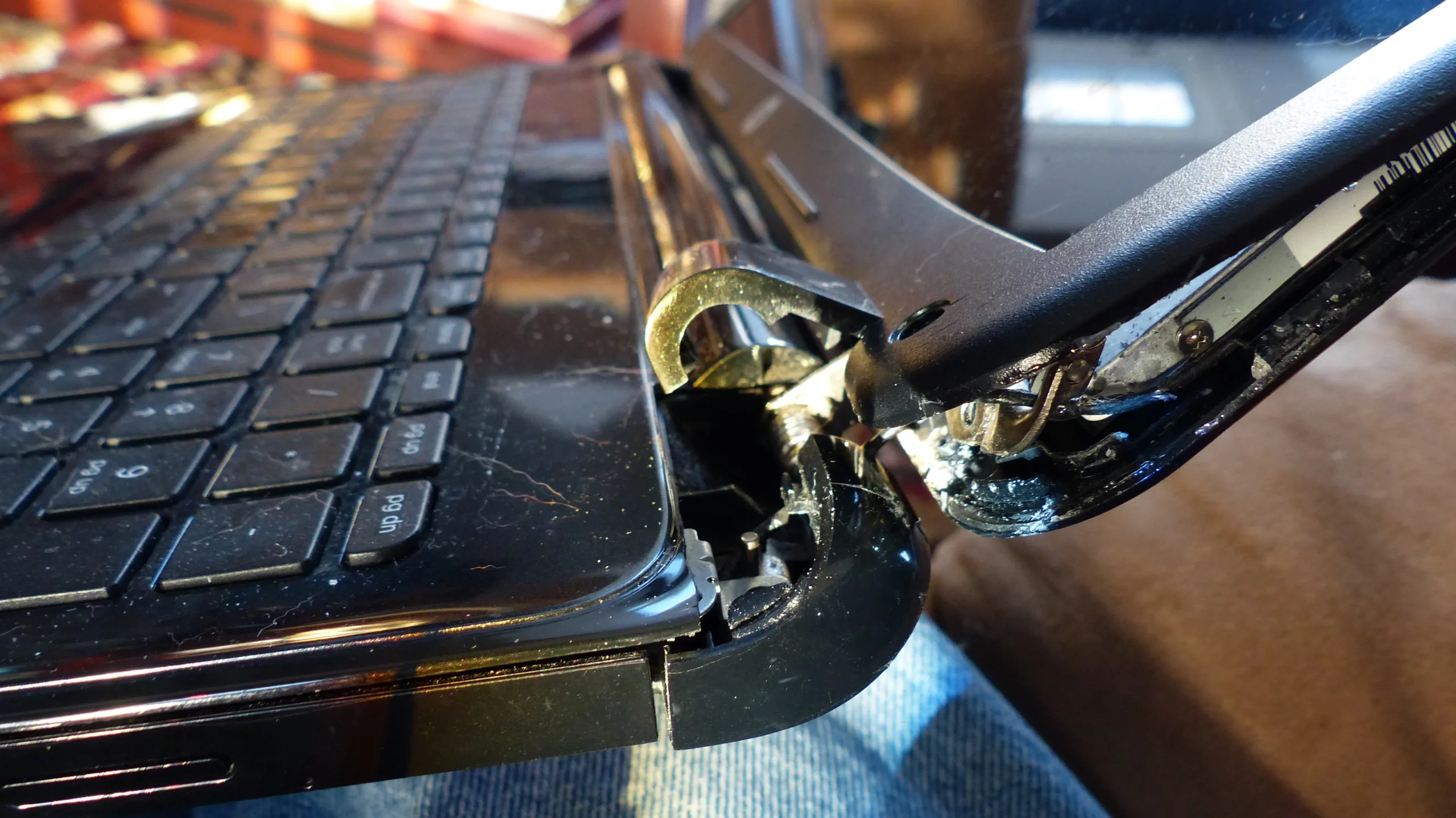 Hinge repair (single)